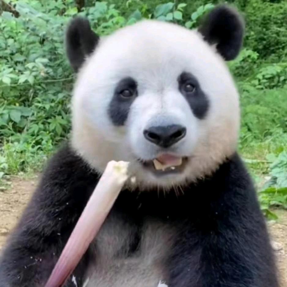 中江石材定制｜阳