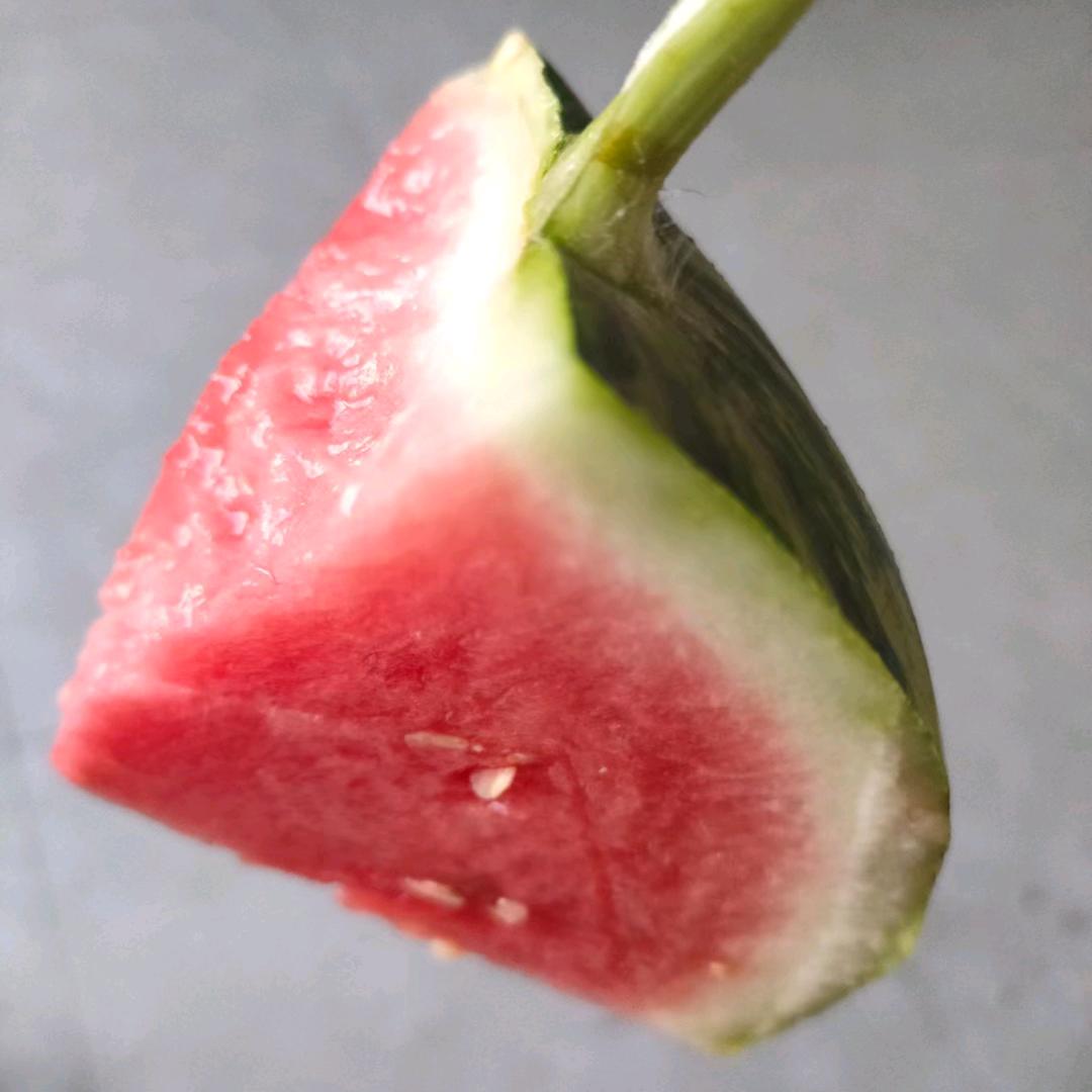 平淡的阿狸💋