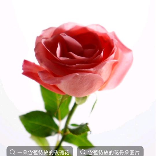 精彩人生，谢绝私聊