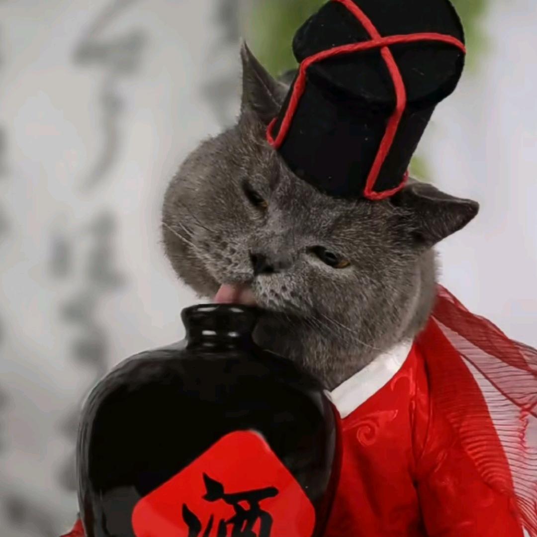 丹姐