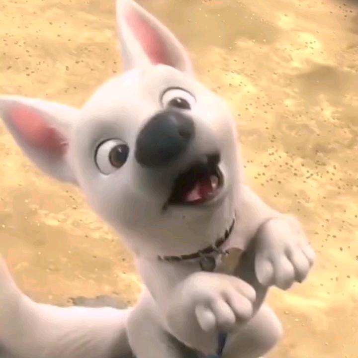 @᭄别谈ᝰᩚ如果ꦿ: ᭄