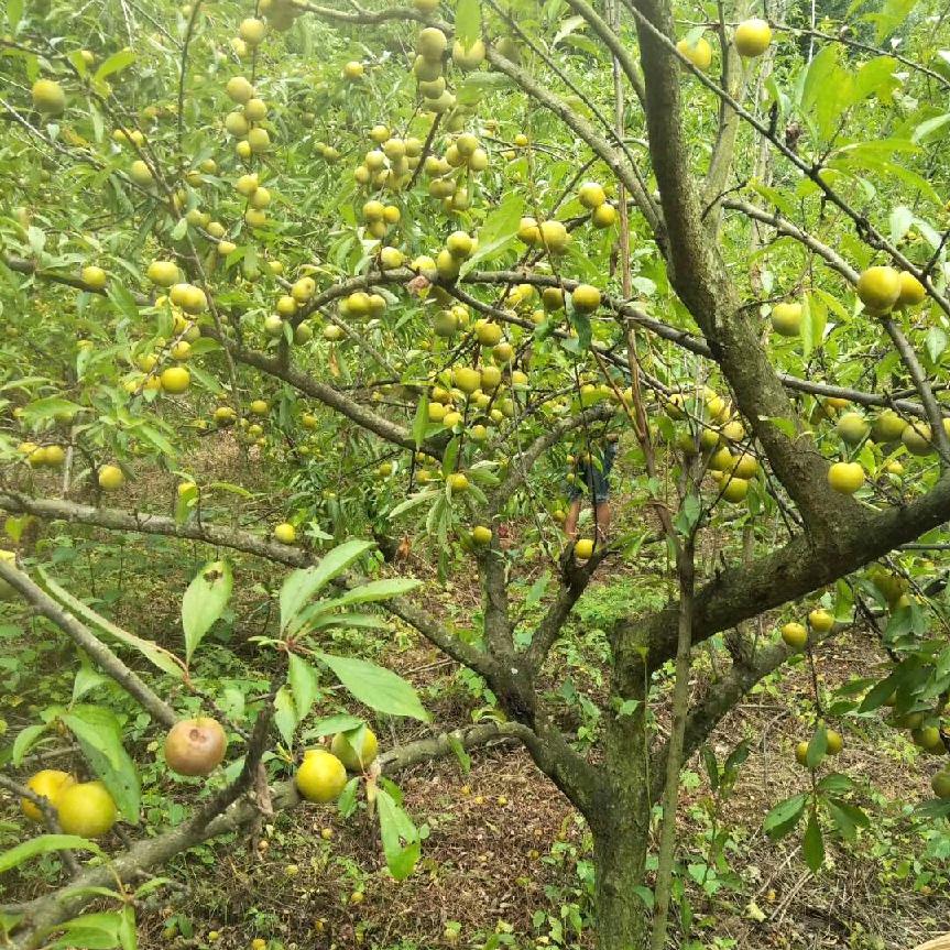 懂我的人在哪里