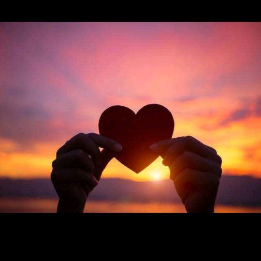 新（好物在橱窗）