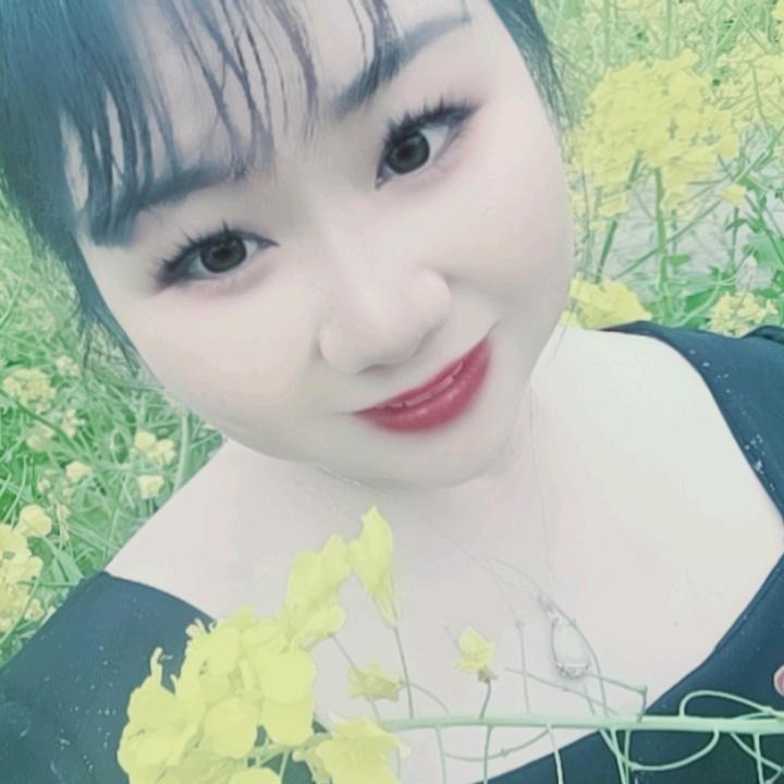 随心远行