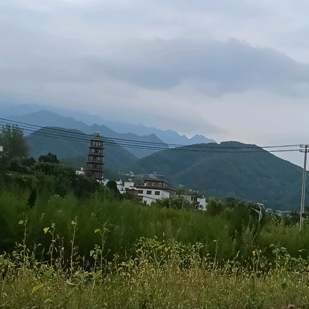 用户3177348561069