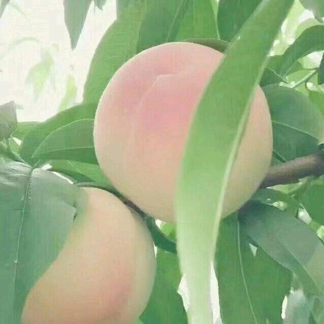 天涯海角任我行