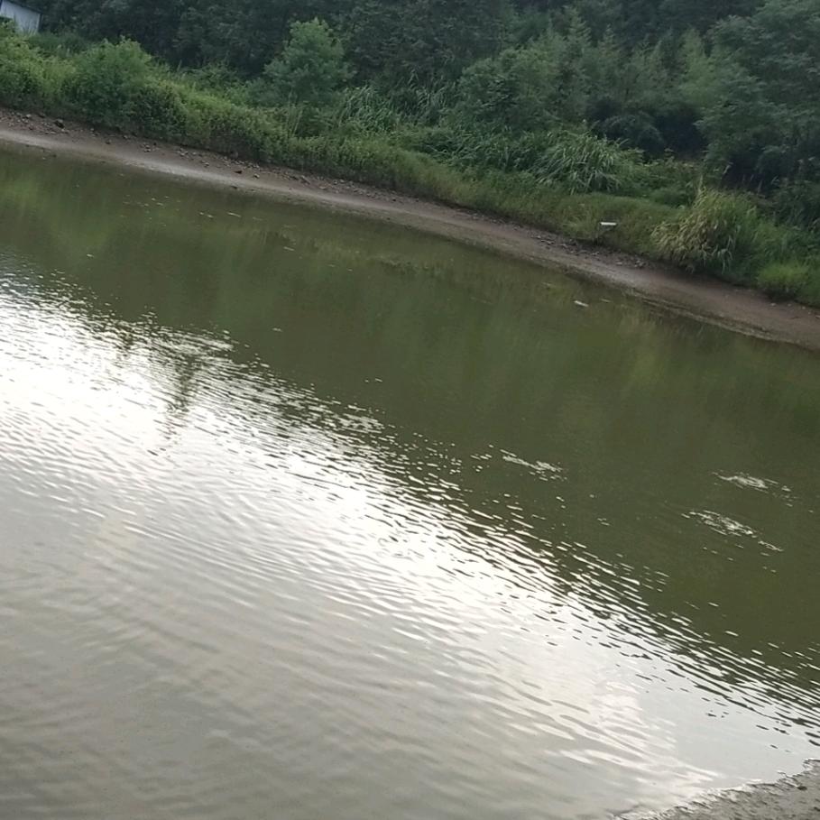 彭富华