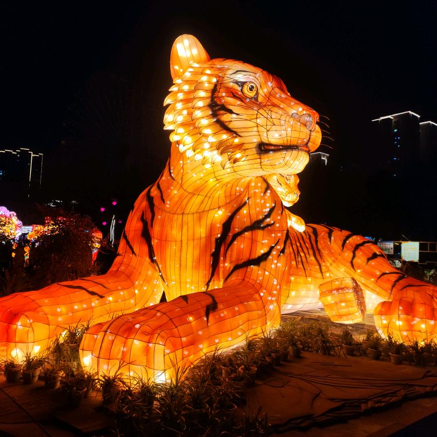 坚持就是胜利✌