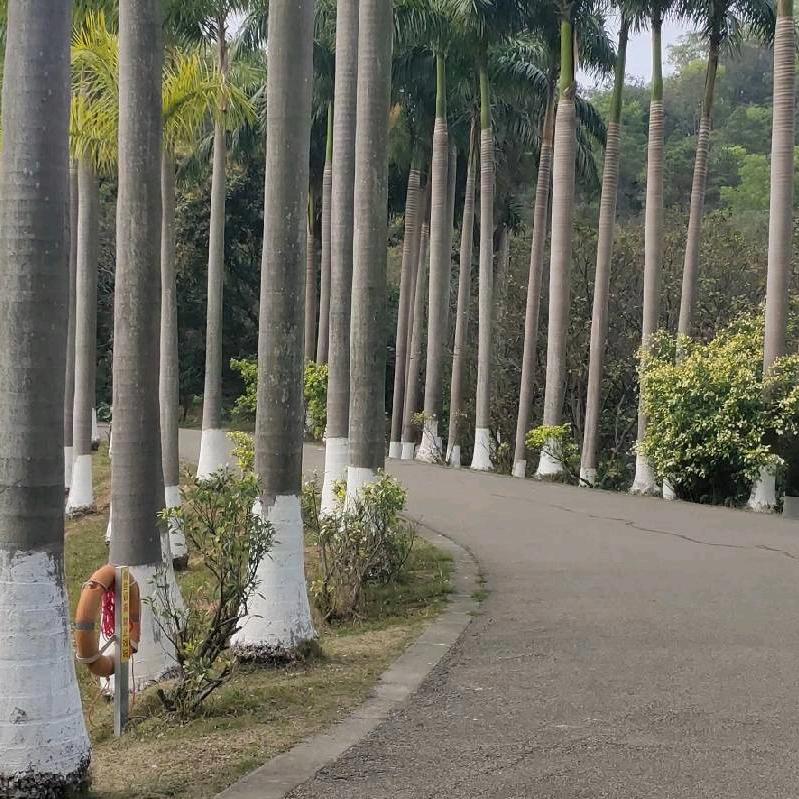 开心每一天
