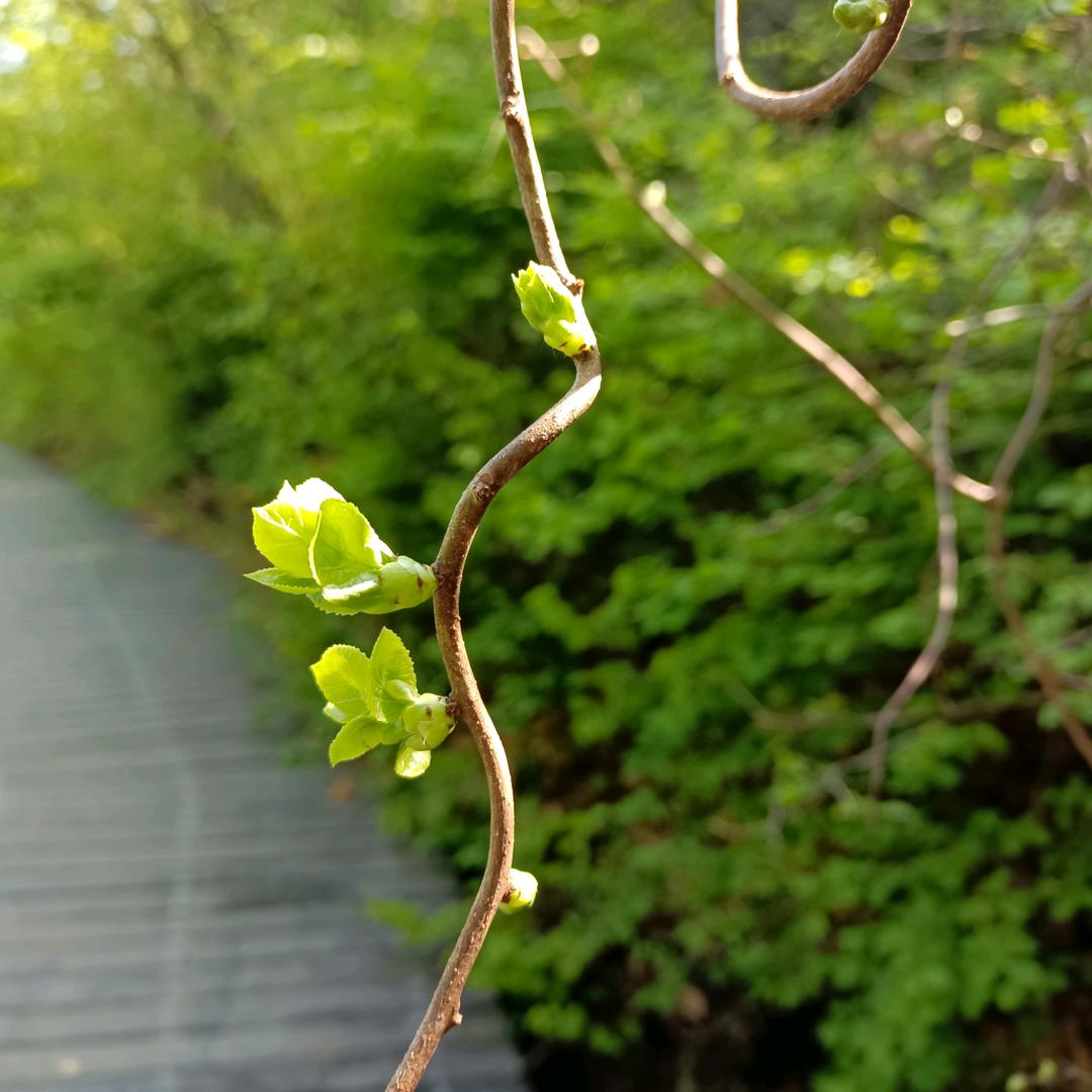 Ⓜ️🌈笑看人生