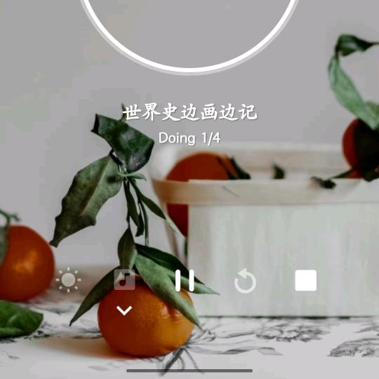 徐家四宝