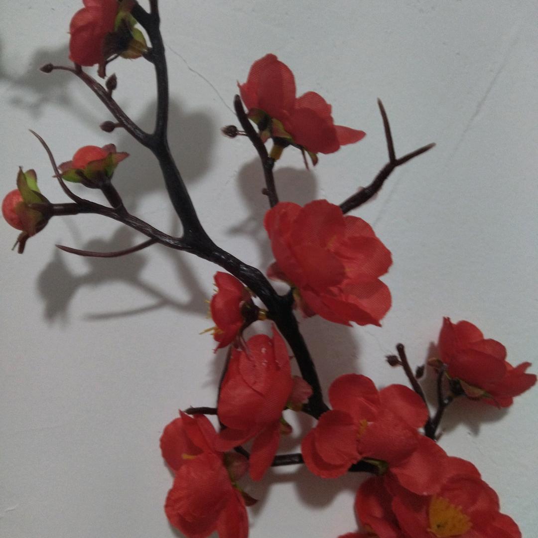 英