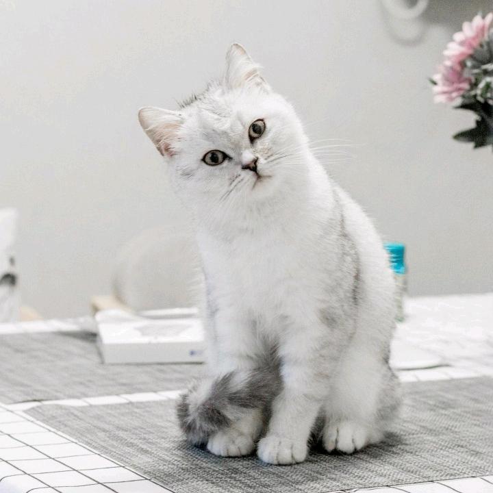 有点飘~