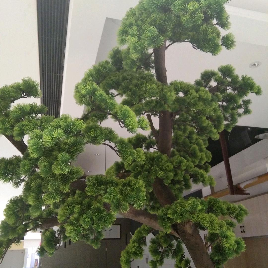 红玫瑰