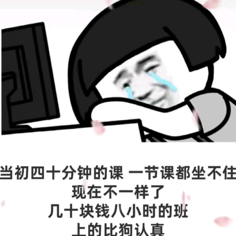 皮皮