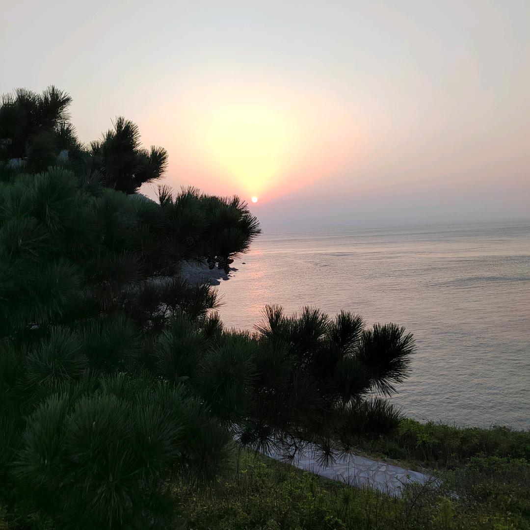 青岛力王环保科技