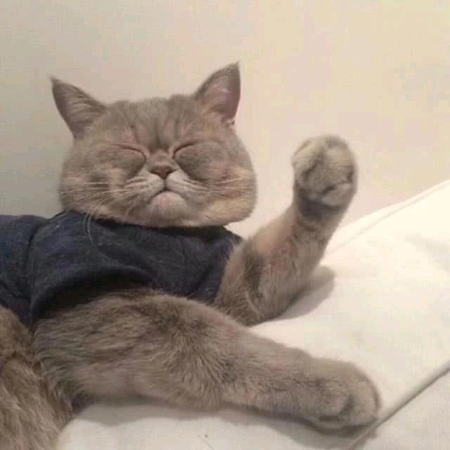 蘑菇.