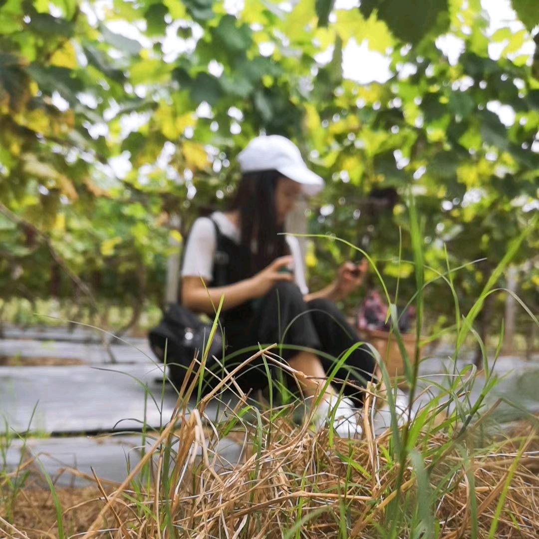起来减肥@