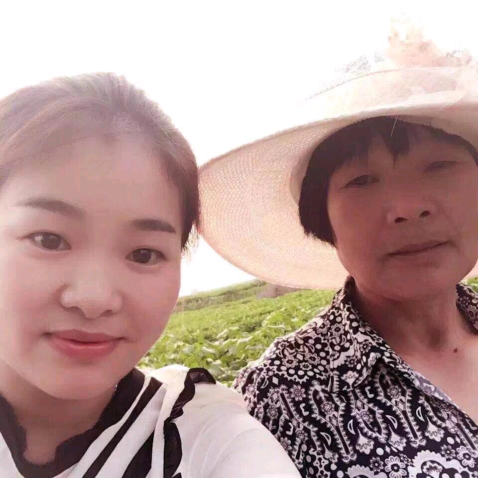 金凤