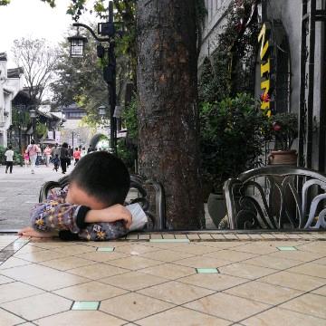 乘风破浪的小猫sa