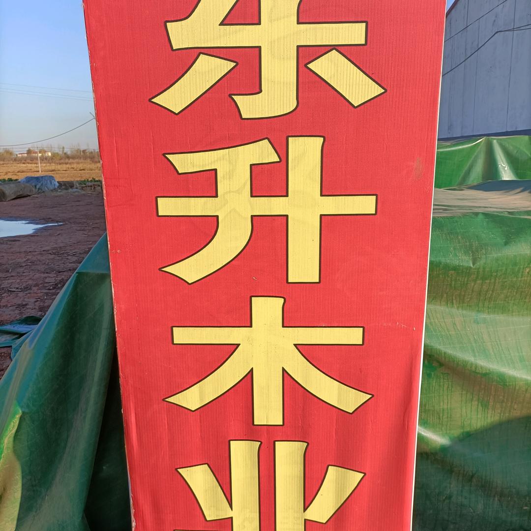 孙炳训