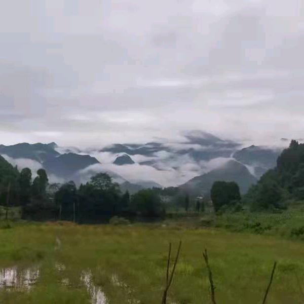 用户4607800757619