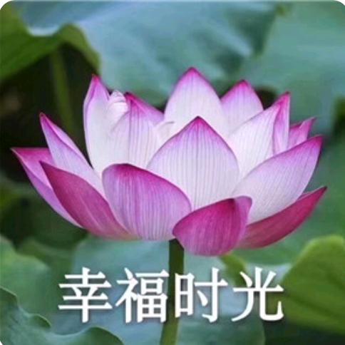 心愿%%I4sI362Swj8%% @心
