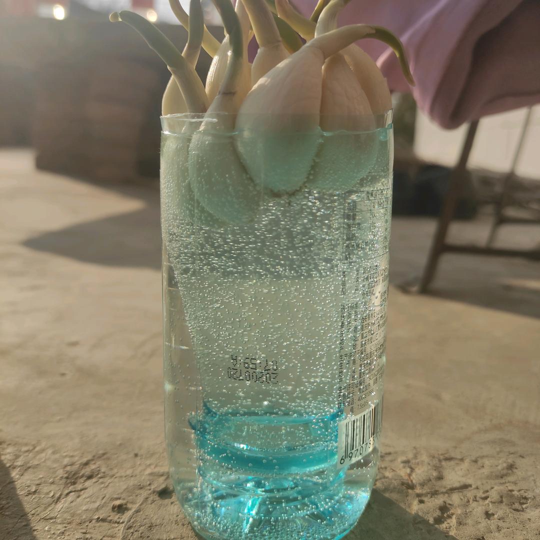 随随便便（🍼🐼）