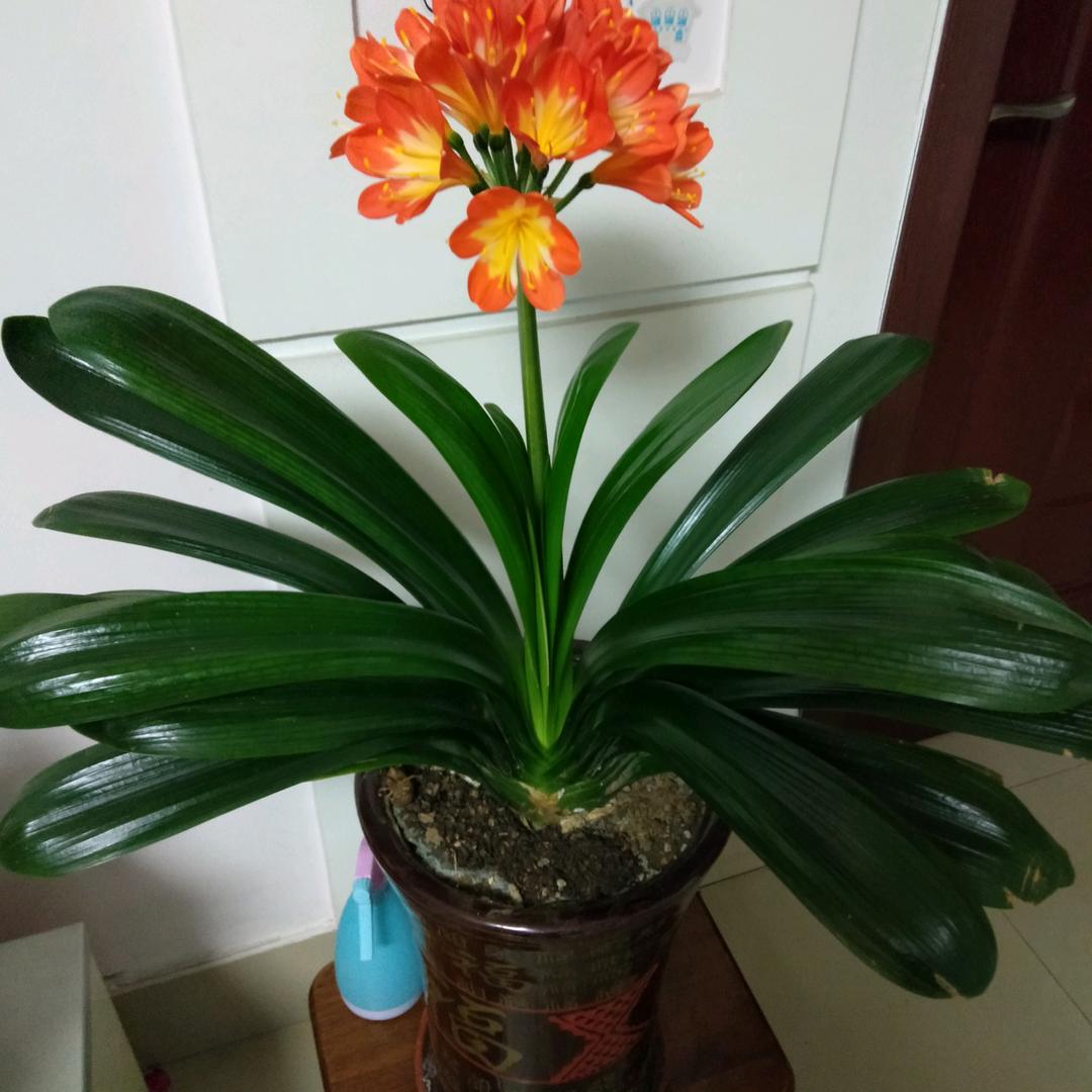 承接各种建筑工程