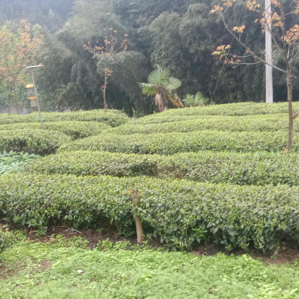 快乐生活每一天