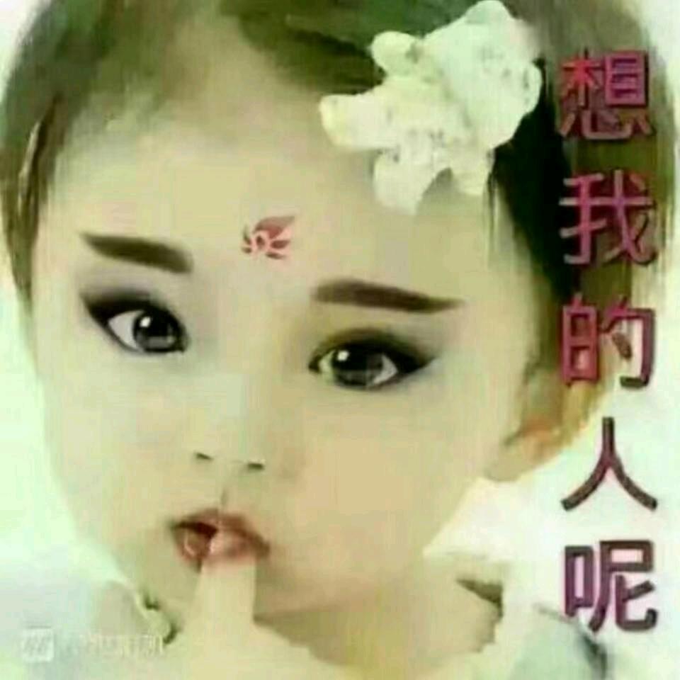 七哥哥