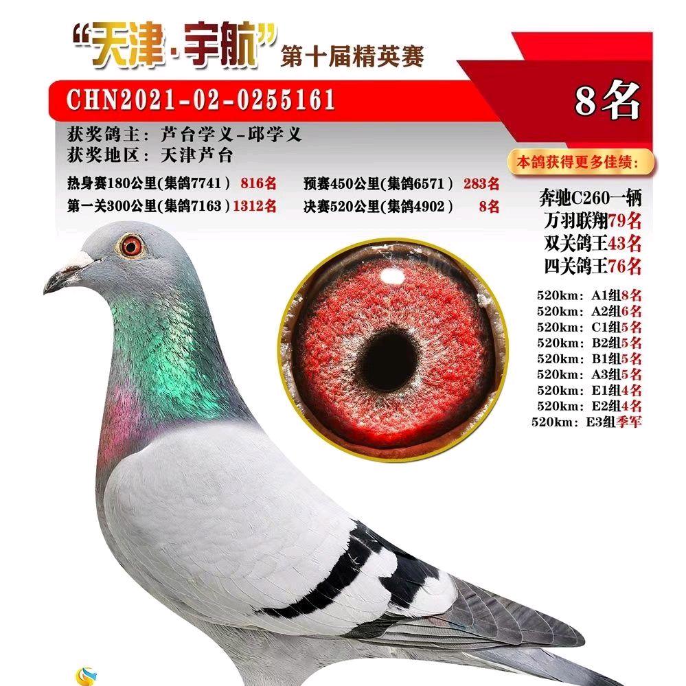 学义