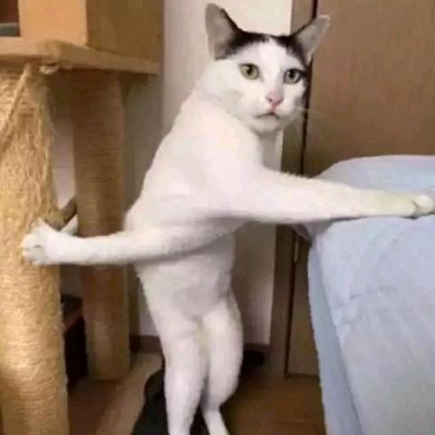 跟着疯跑