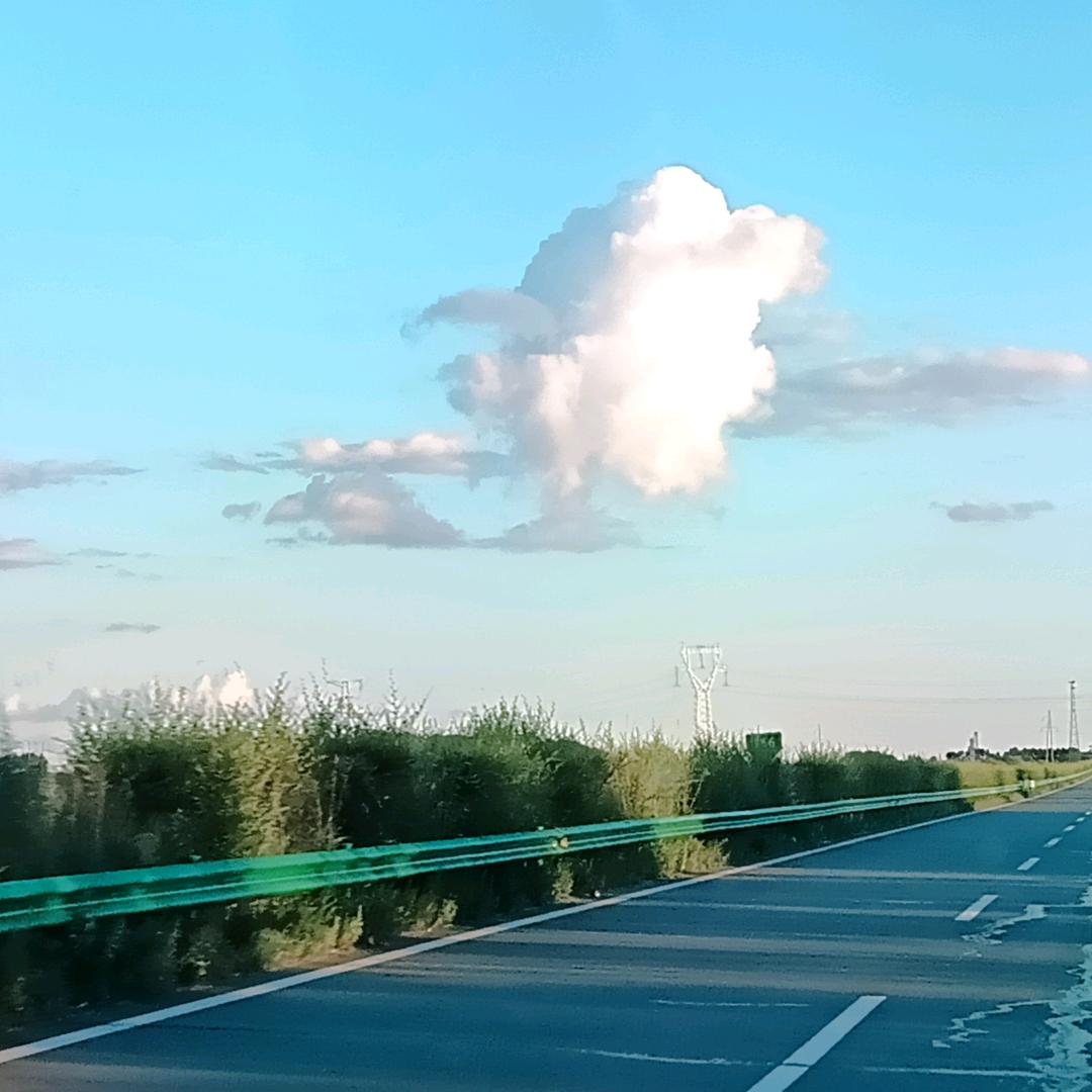 遁入空门🙏