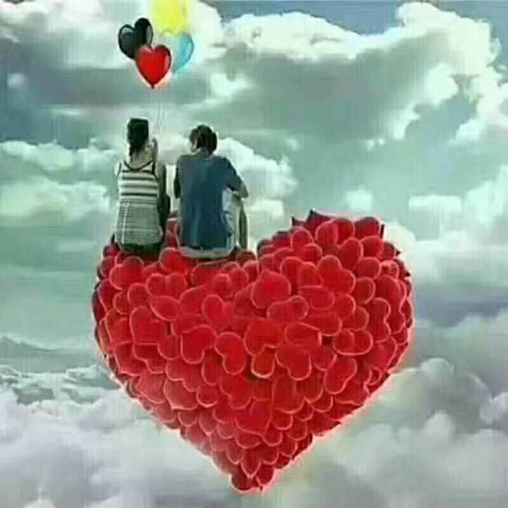 🌹如则先生🌹