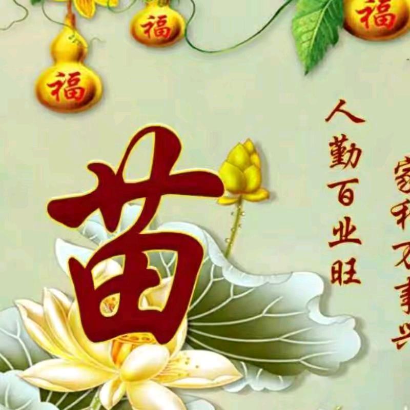 武汉勤禾苗木有限公司