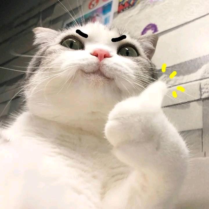皮卡皮卡皮卡丘