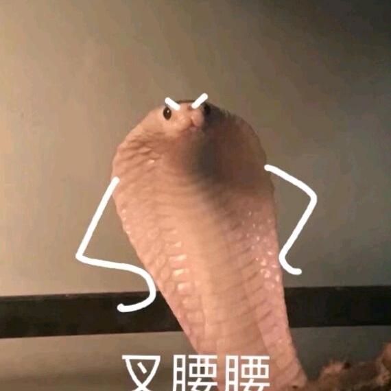 口水鸡排（锦荟港店）