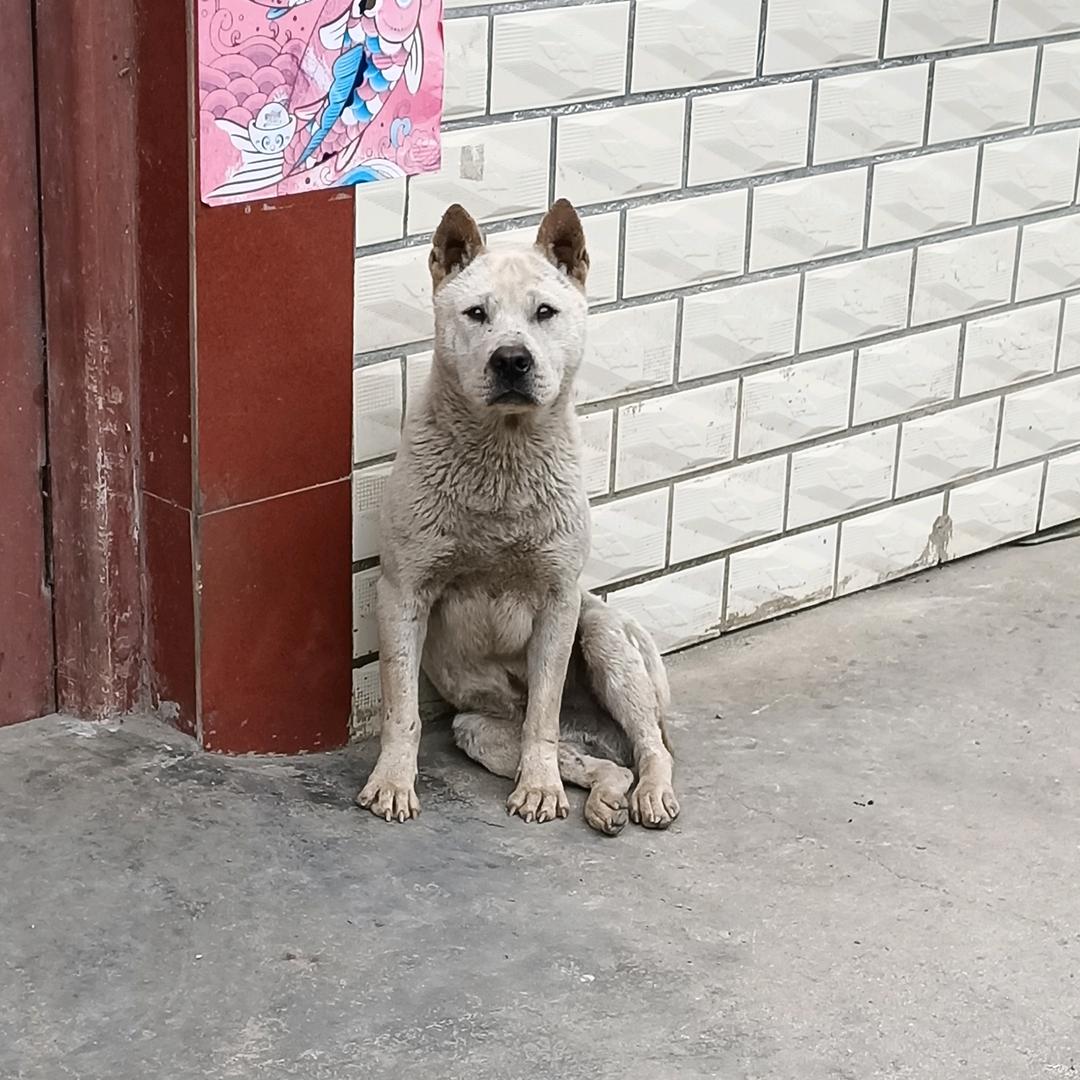 别和我谈感情我戒了