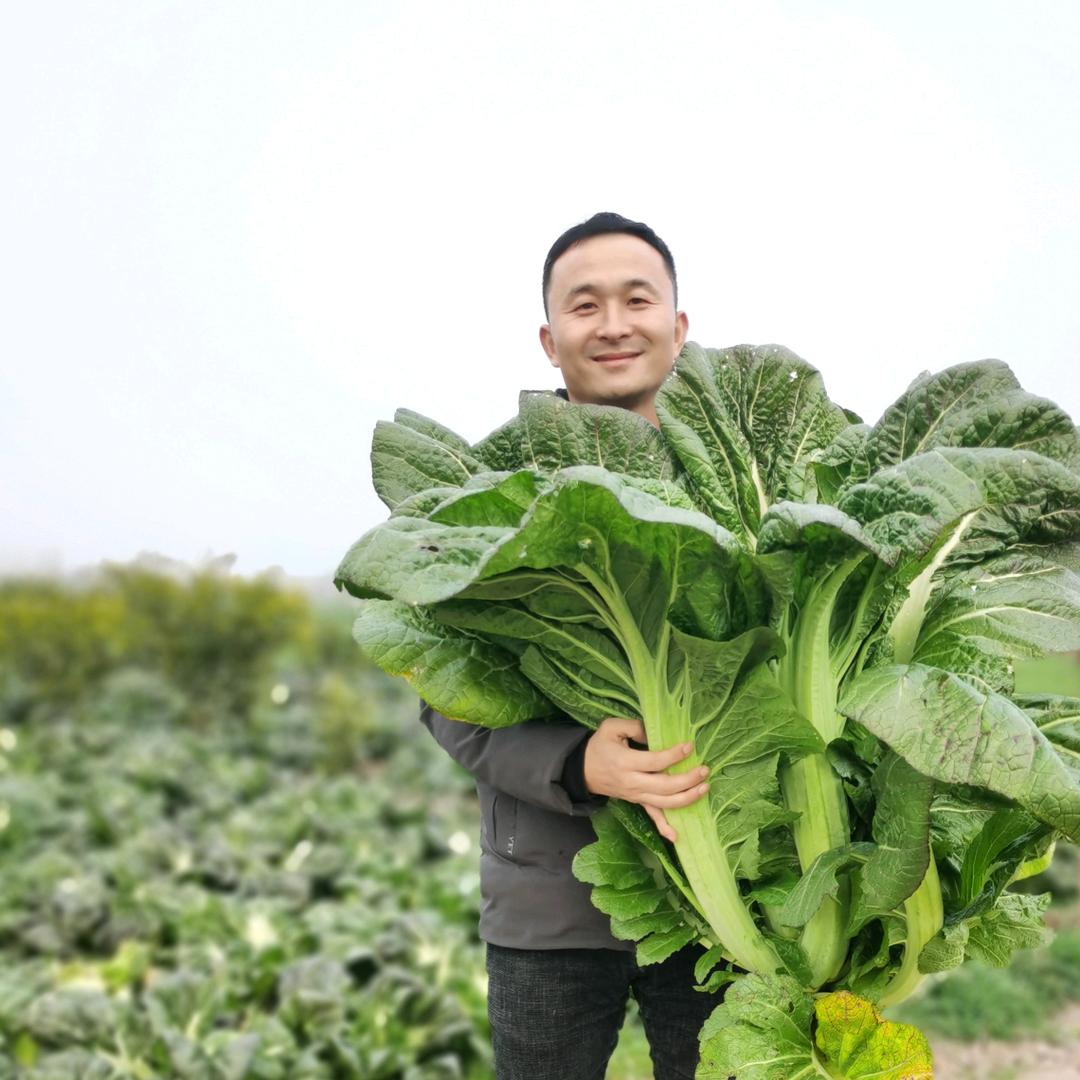 新农人小马哥
