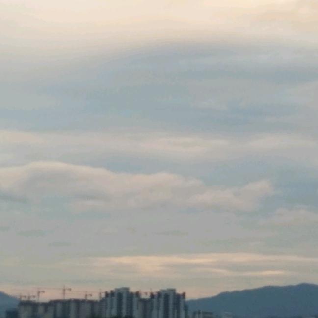 檬檬