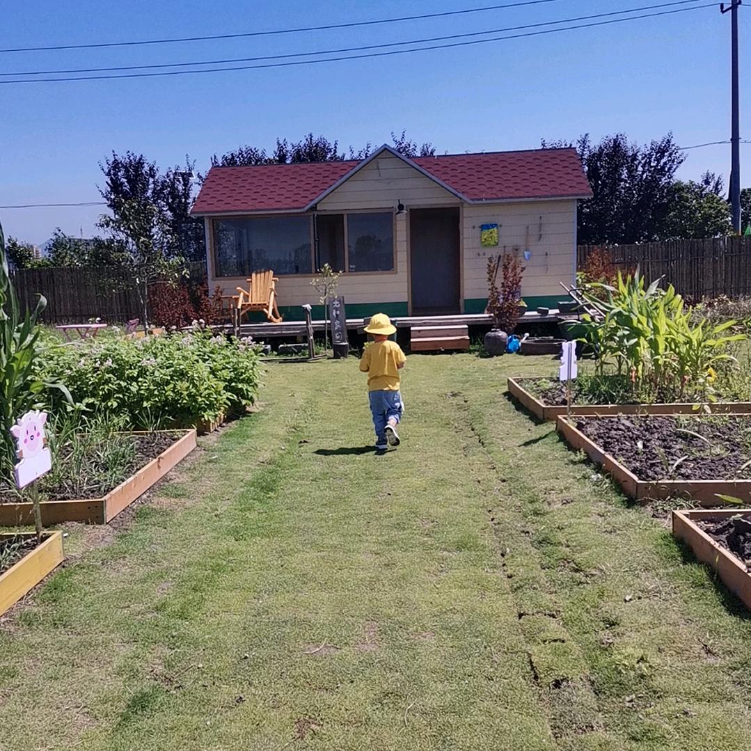 手机用户62073350552