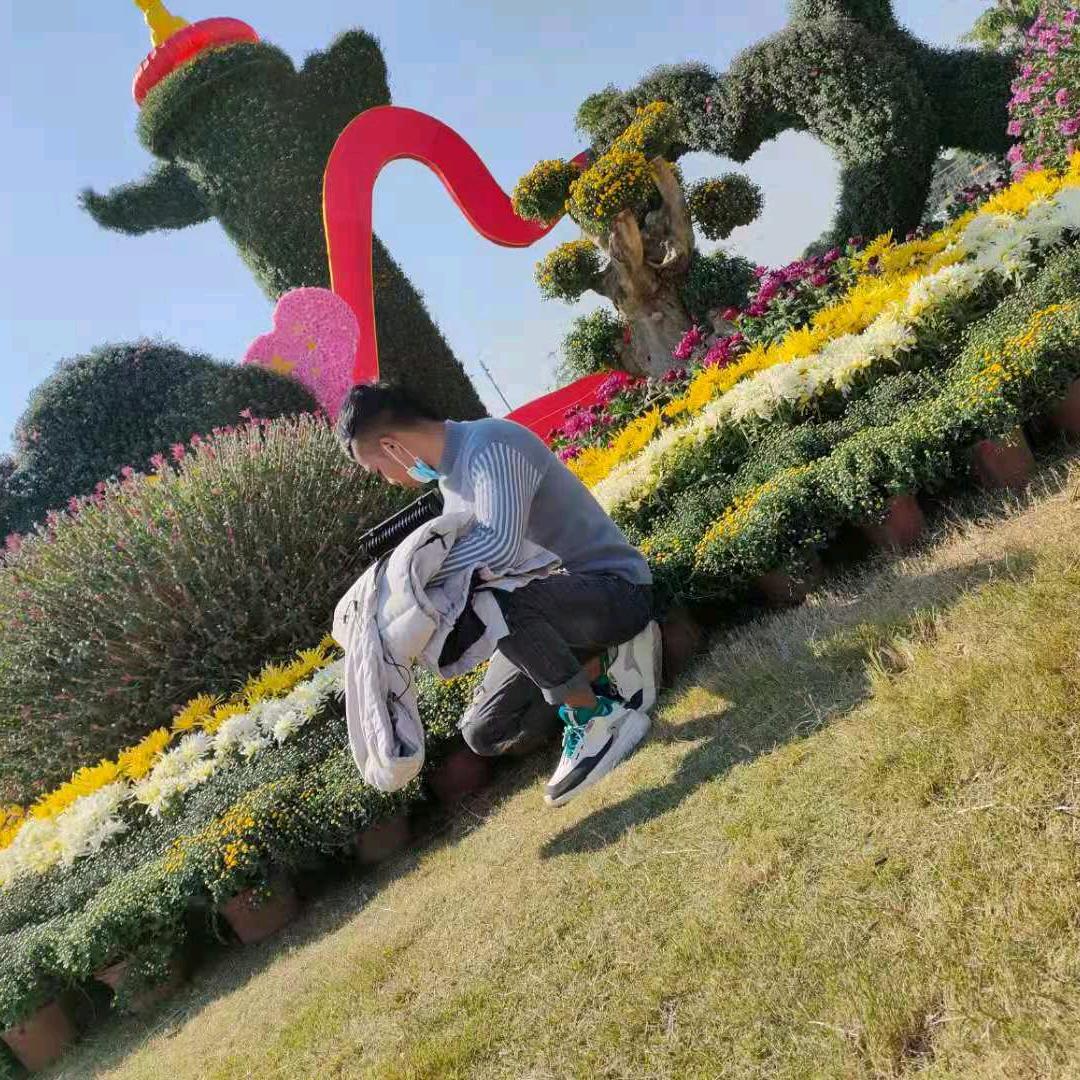 你得不到的 宝藏男孩