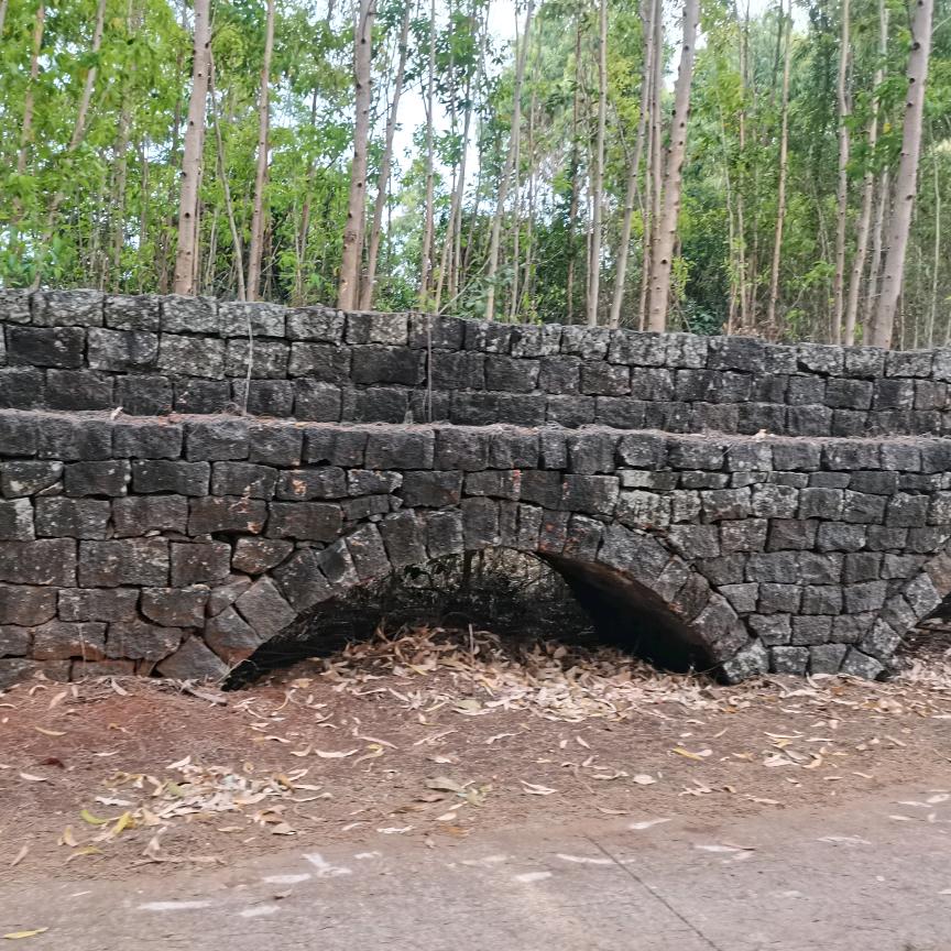 小小梦想家