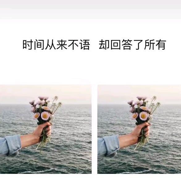 张张呀♪(^∇^*)