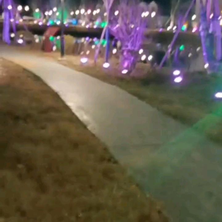 善解人意