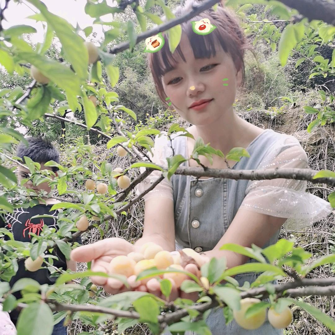飞翔的鱼儿