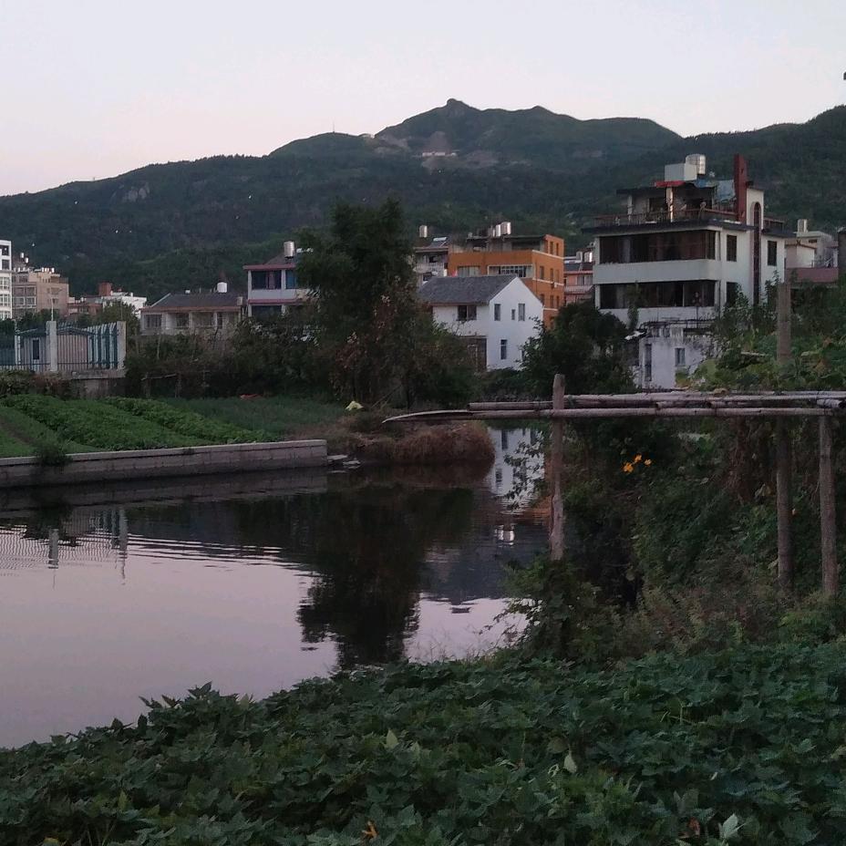 刘  三（装璜）