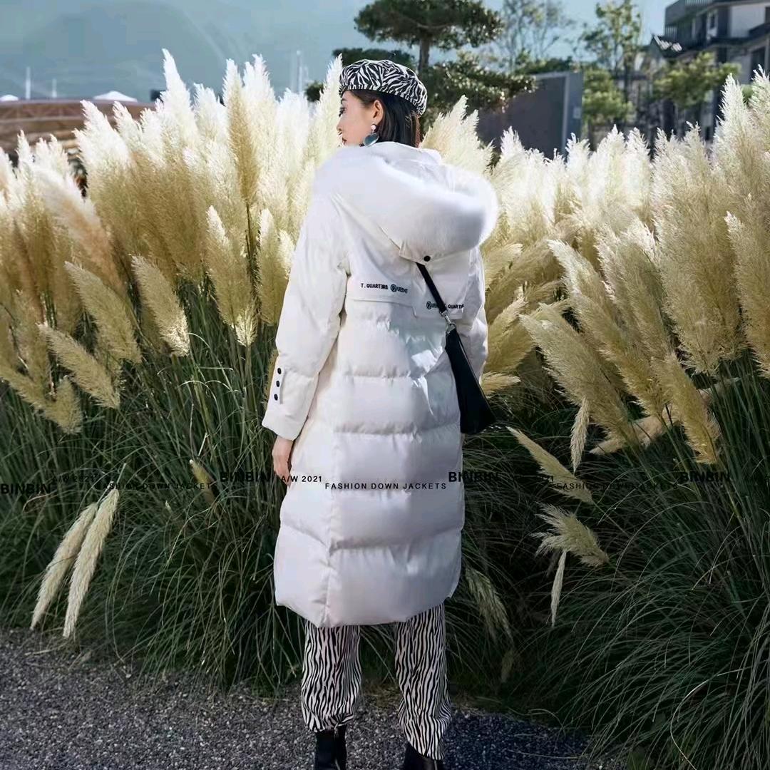 七零狗🐶，木易