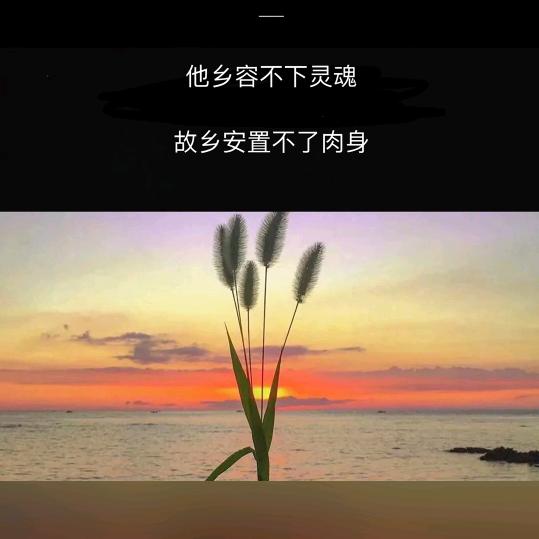 不好不坏